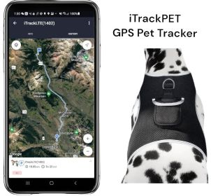 Small Realtime GPS Pet Tracker Waterproof Dog Collar Tracking Device Size:M