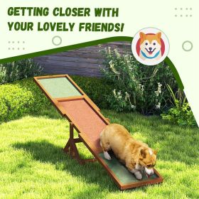 Dog Agility Ramp , Pet Seesaw